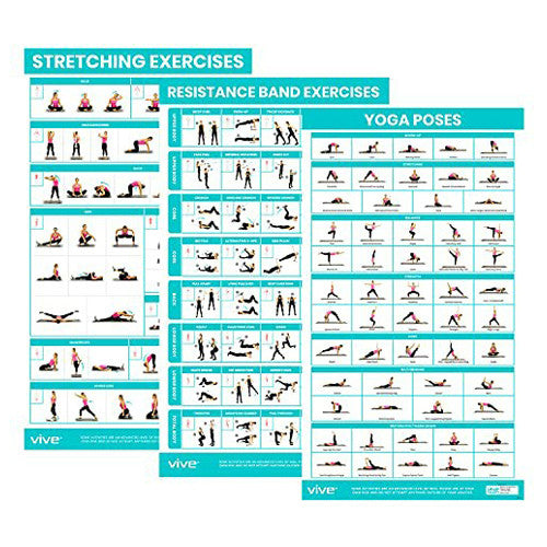 Vive Health Improved Flexibility Workout Poster, 3-Pack