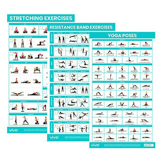 Vive Health Improved Flexibility Workout Poster, 3-Pack