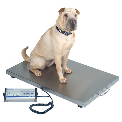 Detecto Digital Veterinary Scale, 330 lb x 0.2 lb